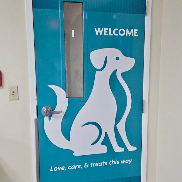 Transforming Spaces with Custom Vinyl Graphics for Our Local SPCA 