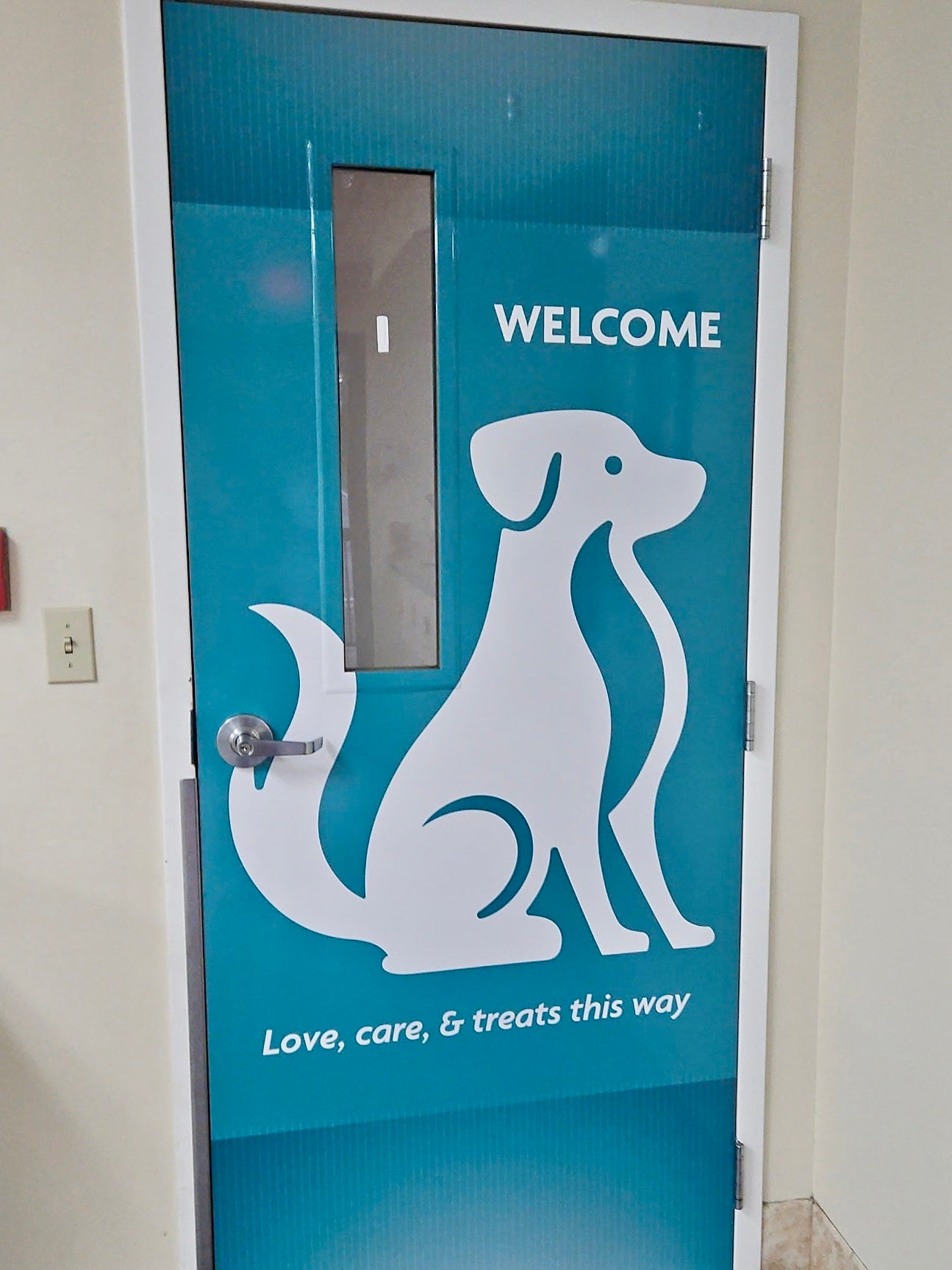 Transforming Spaces with Custom Vinyl Graphics for Our Local SPCA 