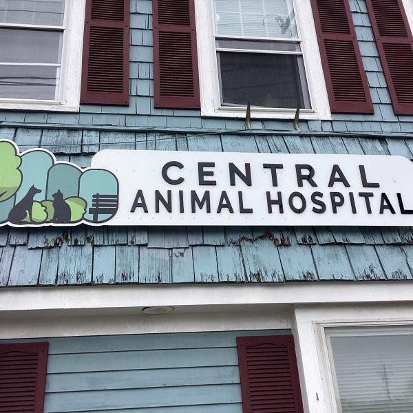 Modern Dimensional Sign for Veterinary Office in the North Shore of Boston
