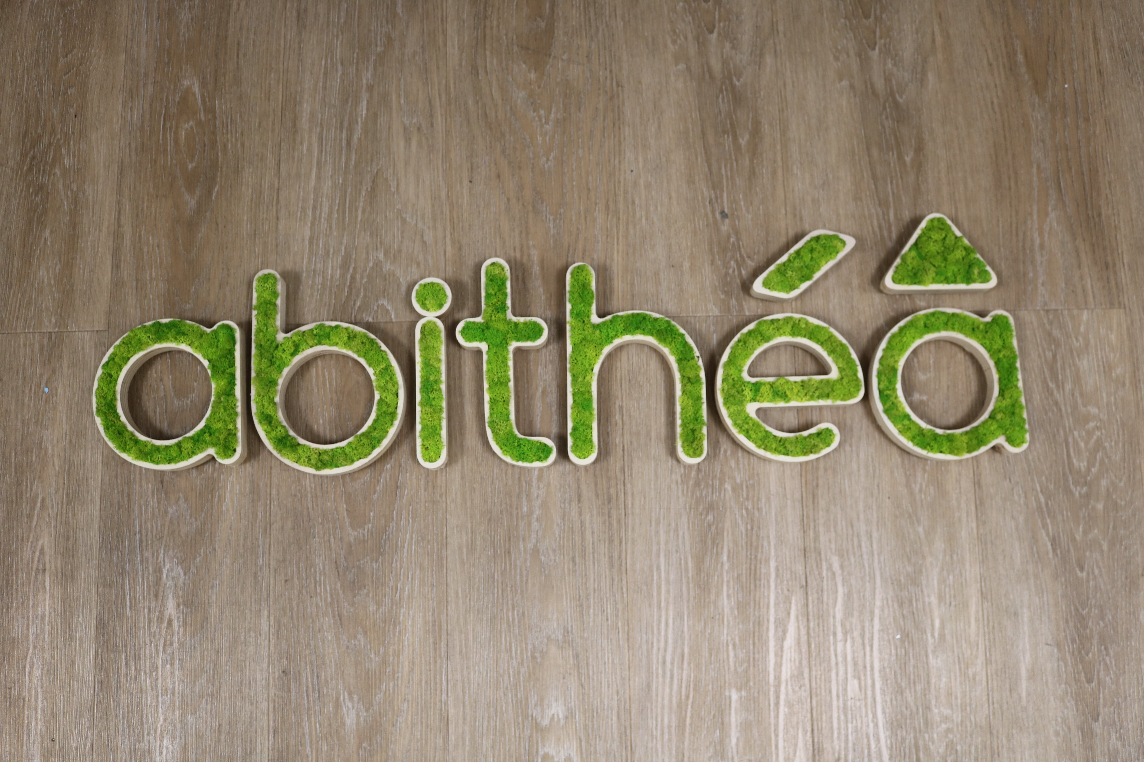 Logo vegetal et bois pour abithea par Signarama Montpellier