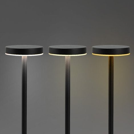 Nouveau Rechargeable Table Lamp