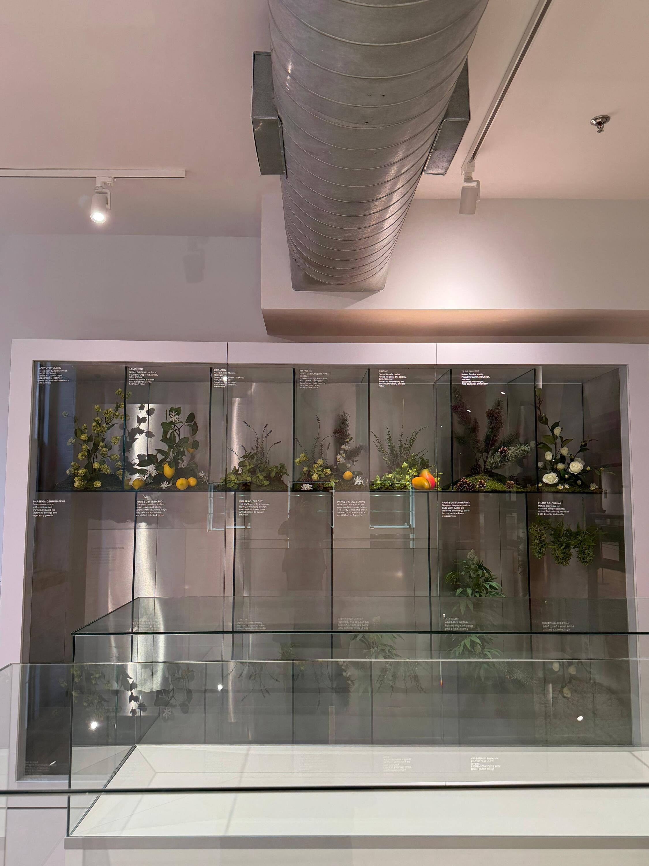 Custom Vinyl Graphics for The Gallery Cannabis Dispensary in Brooklyn