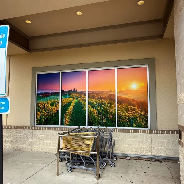 Window Graphics