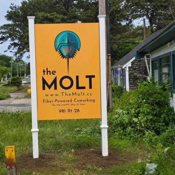 Molt