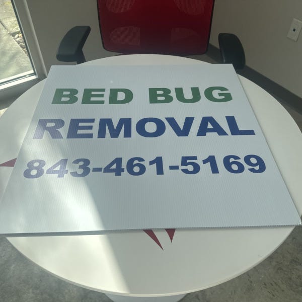 bed bug removal coro