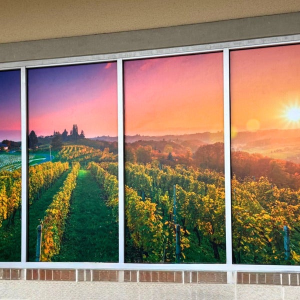 How Custom Window Graphics Turn Empty Walls Into Customer-Friendly Spaces