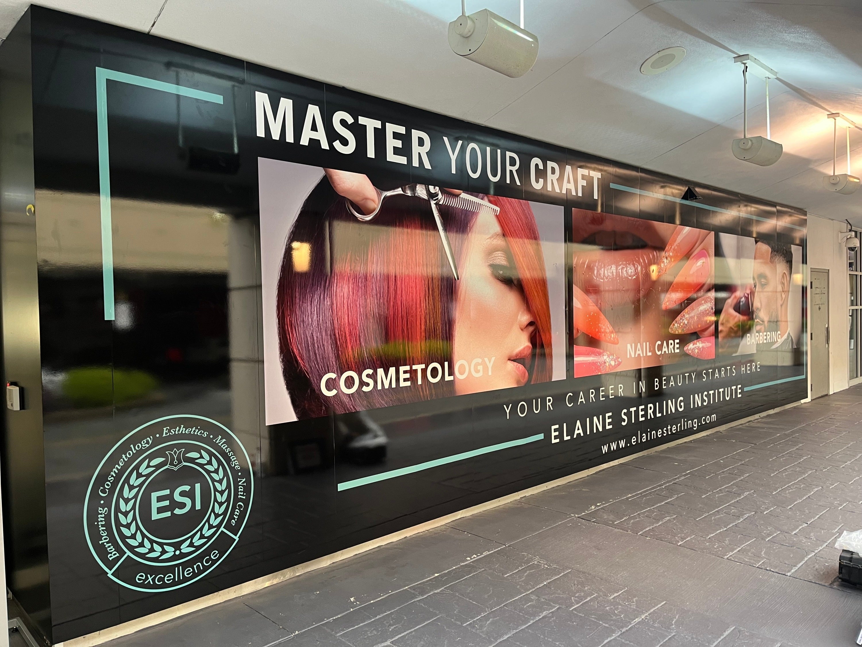 Custom Window Graphics for Elaine Sterling Institute