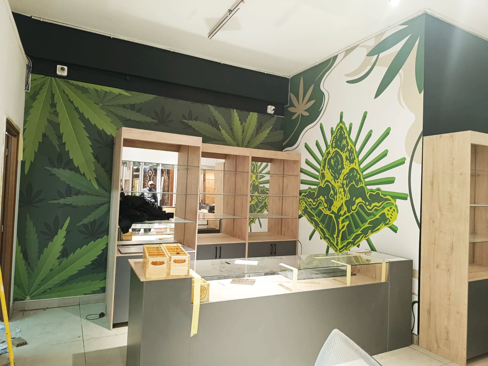 A Complete Retail Branding Transformation for Budz Culture
