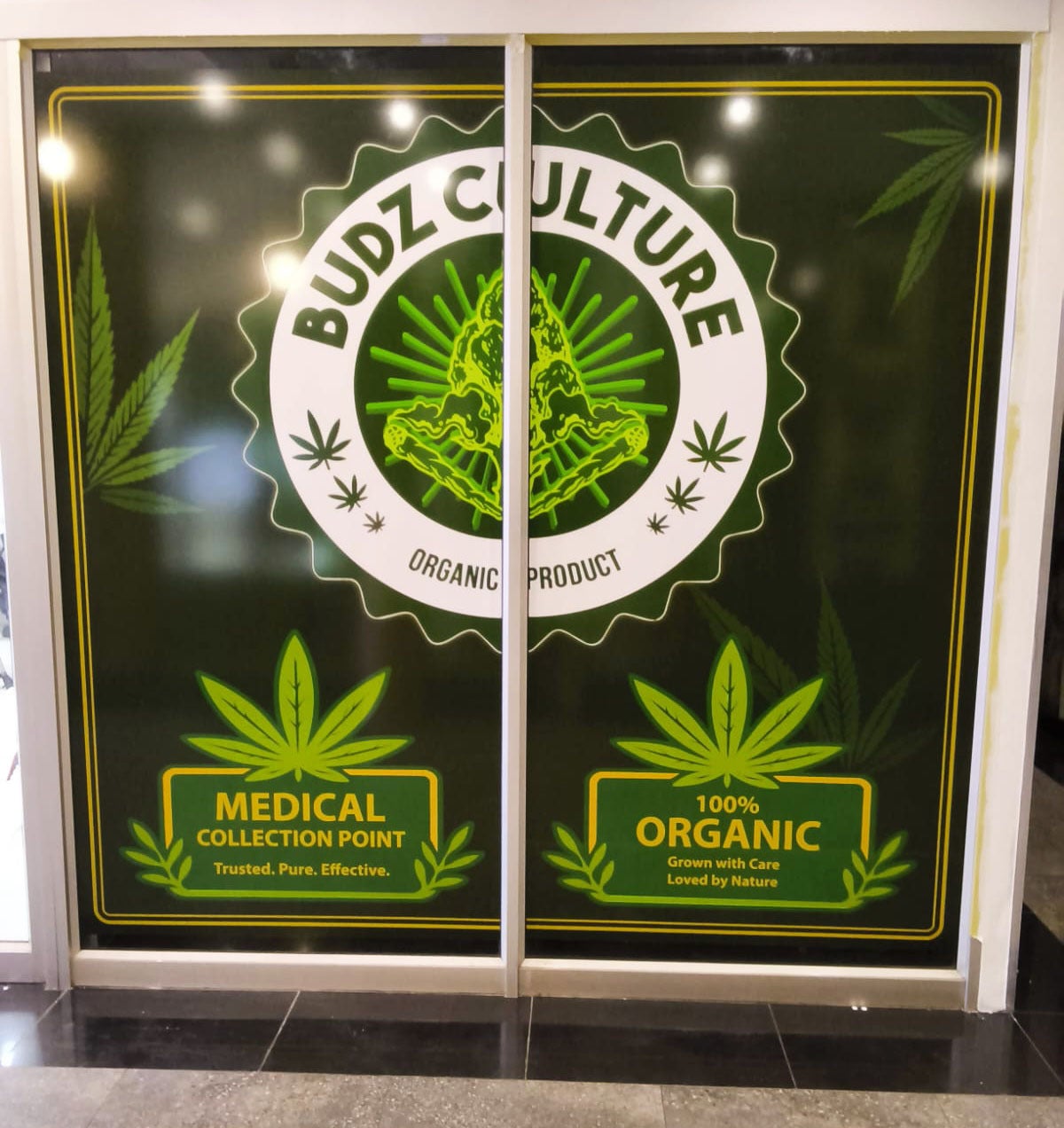 A Complete Retail Branding Transformation for Budz Culture