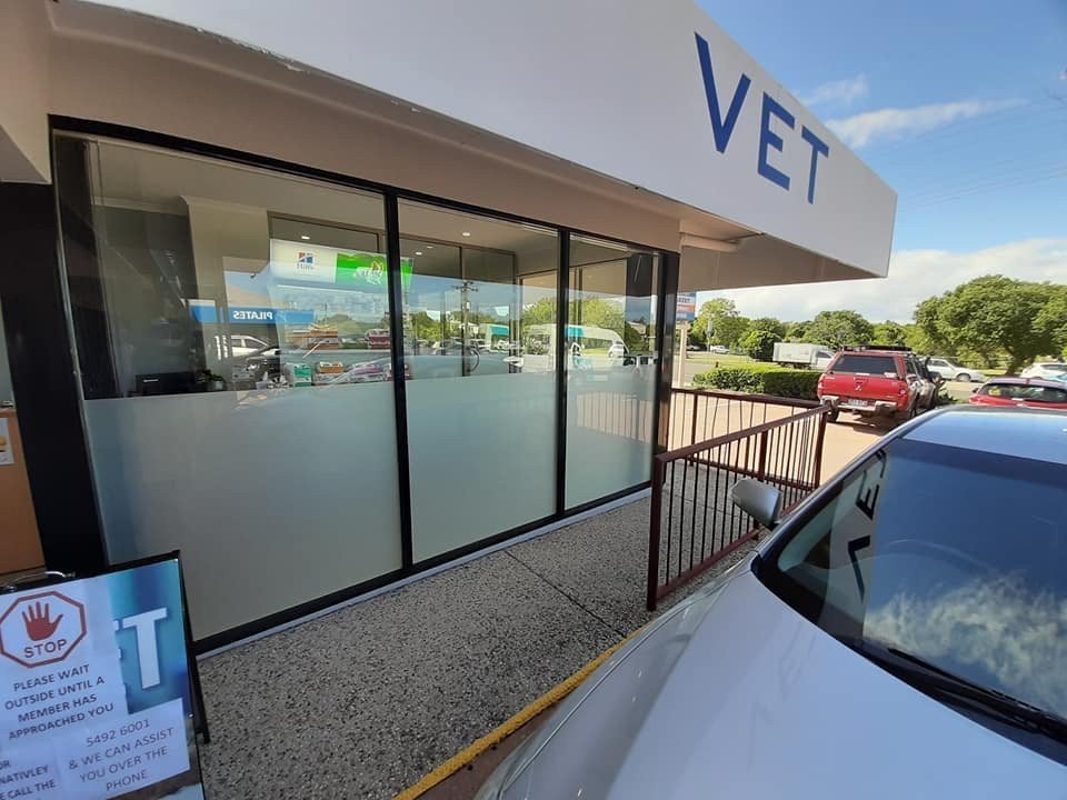 Window Frosting for Battery Hill Veterinary Clinic