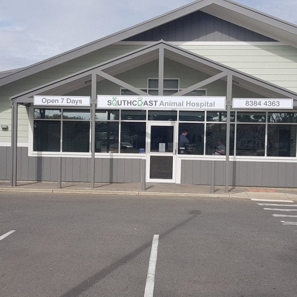 South Coast Animal Hospital