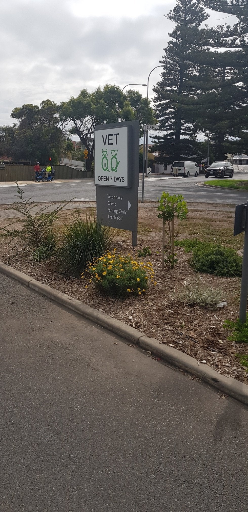 South Coast Animal Hospital