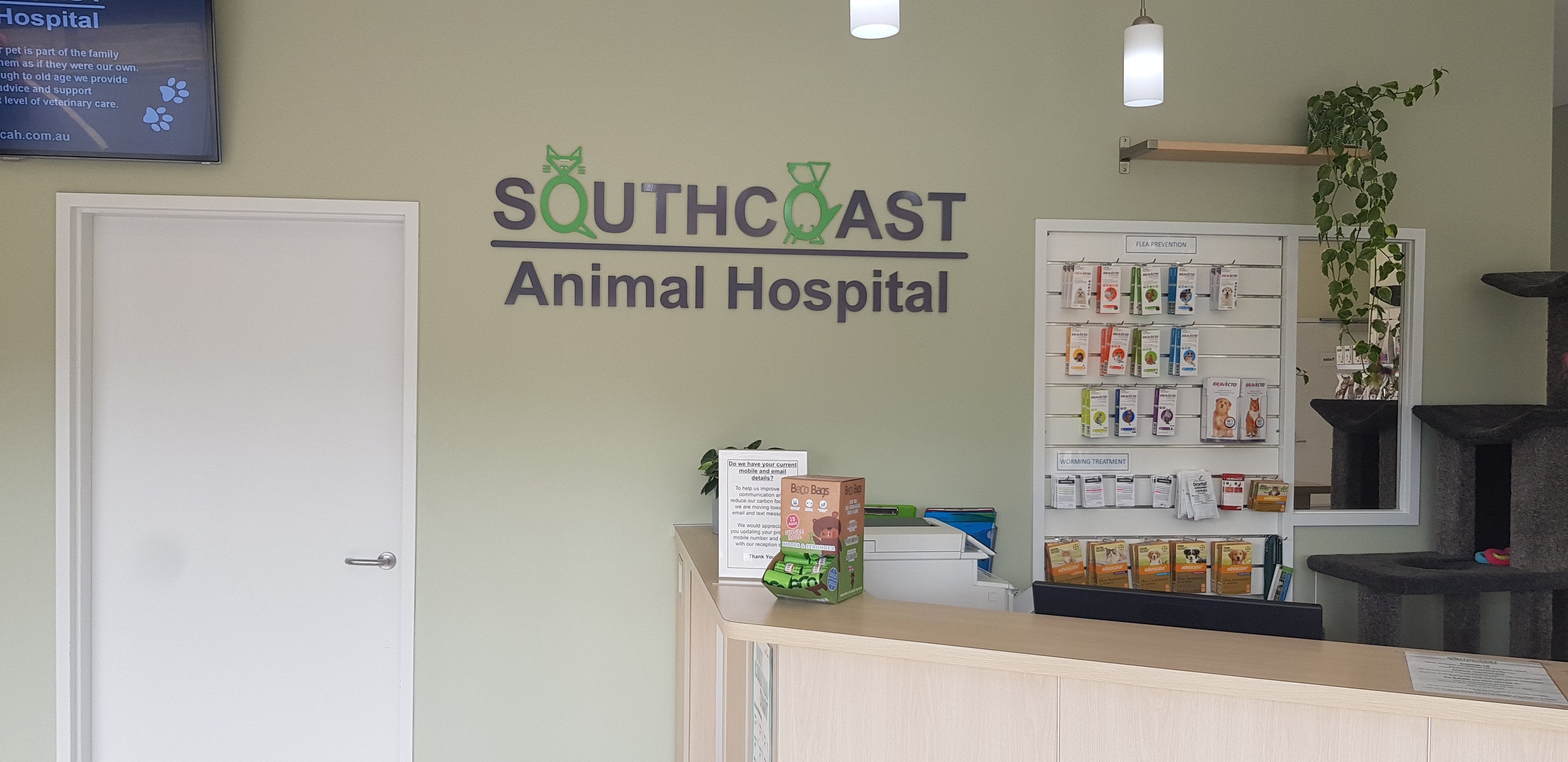 South Coast Animal Hospital