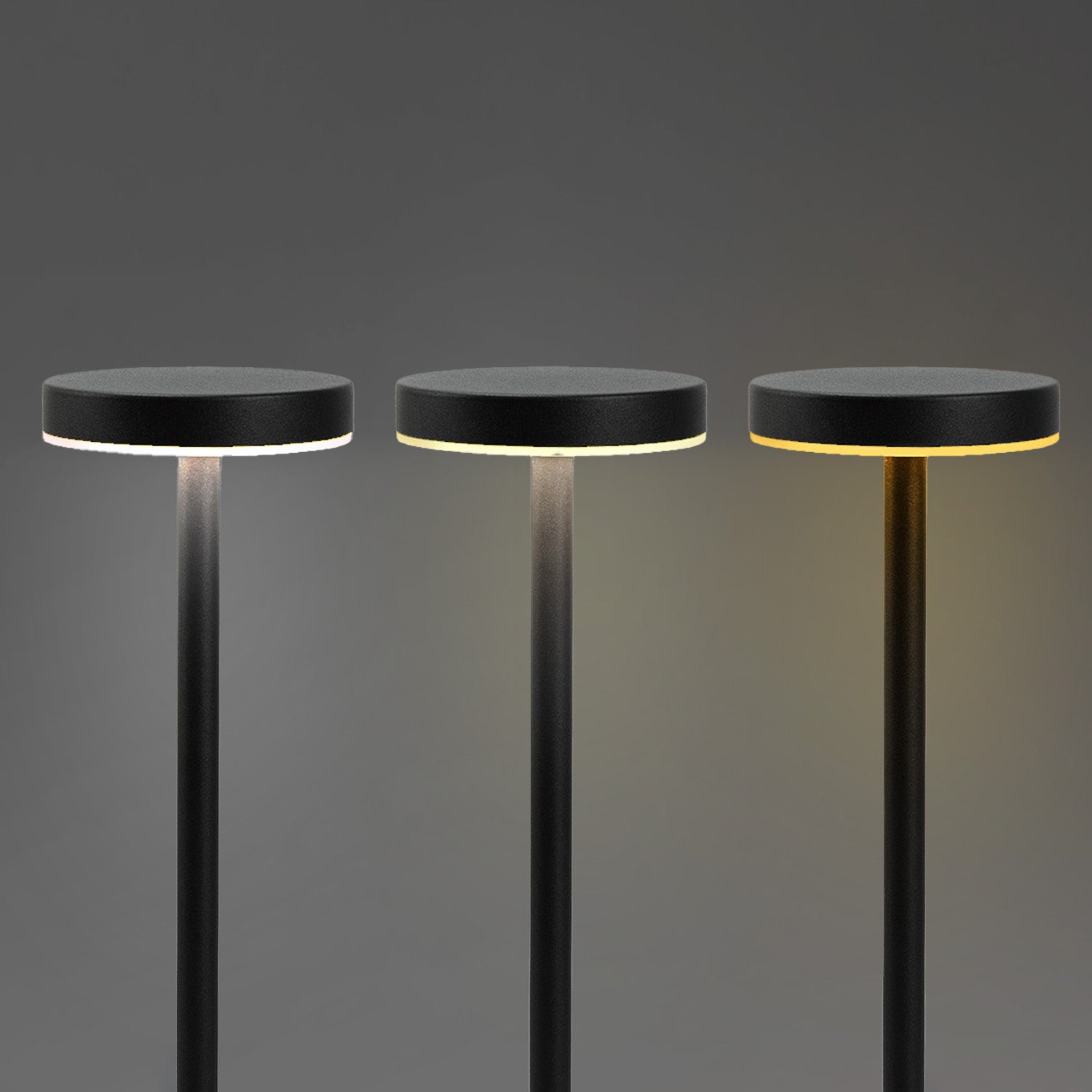 Nouveau Rechargeable Table Lamp