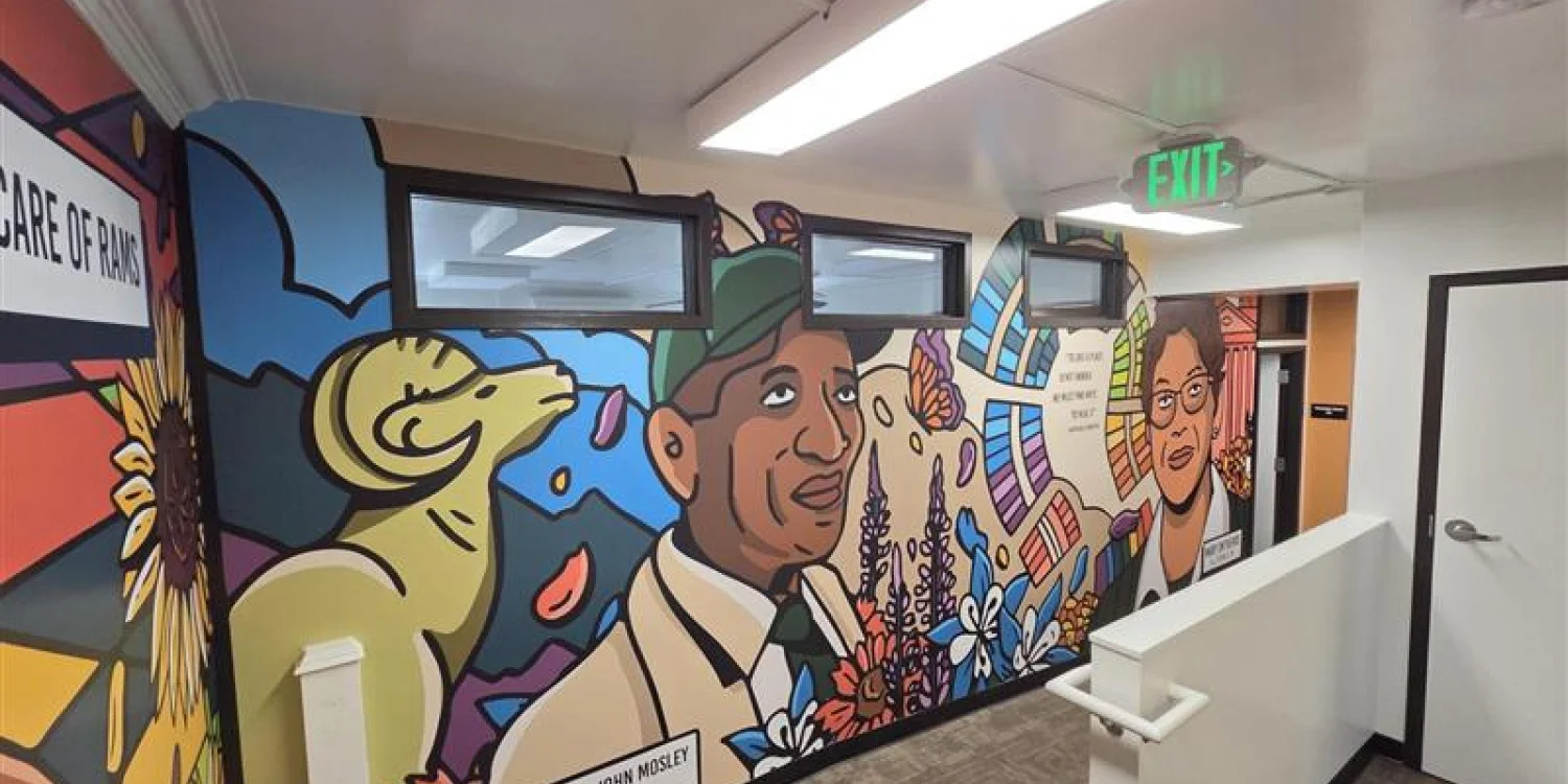More Than Your Average Print Shop – We Design, Print, Build & Install
