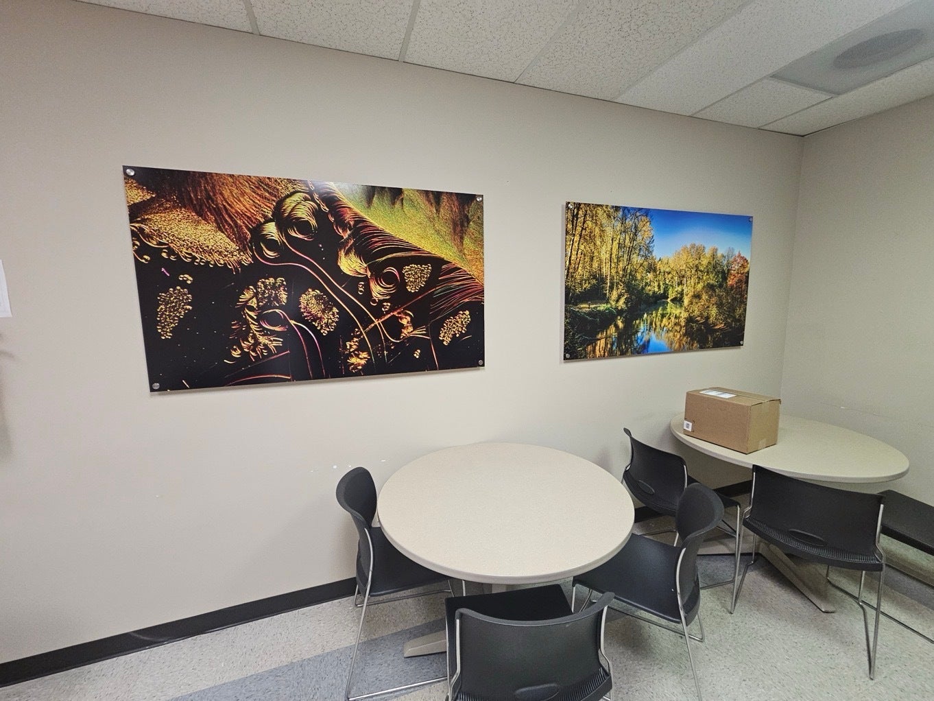 How Aluminum Prints Help Healthcare Administrators Create Patient‑Centered, High‑Performing Offices in Redmond