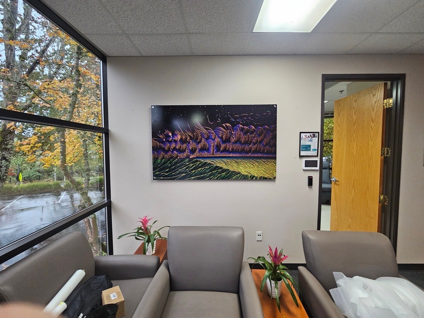 How Aluminum Prints Help Healthcare Administrators Create Patient‑Centered, High‑Performing Offices in Redmond