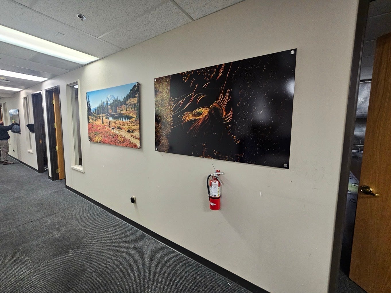 How Aluminum Prints Help Healthcare Administrators Create Patient‑Centered, High‑Performing Offices in Redmond