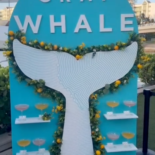 Branding Meets Function for Gray Whale