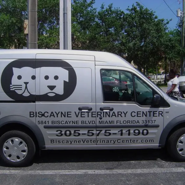 biscayne veter