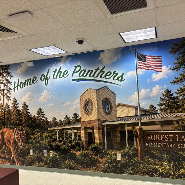 Forest Lake Elementary School Transforms Hallways with Custom Wall Murals