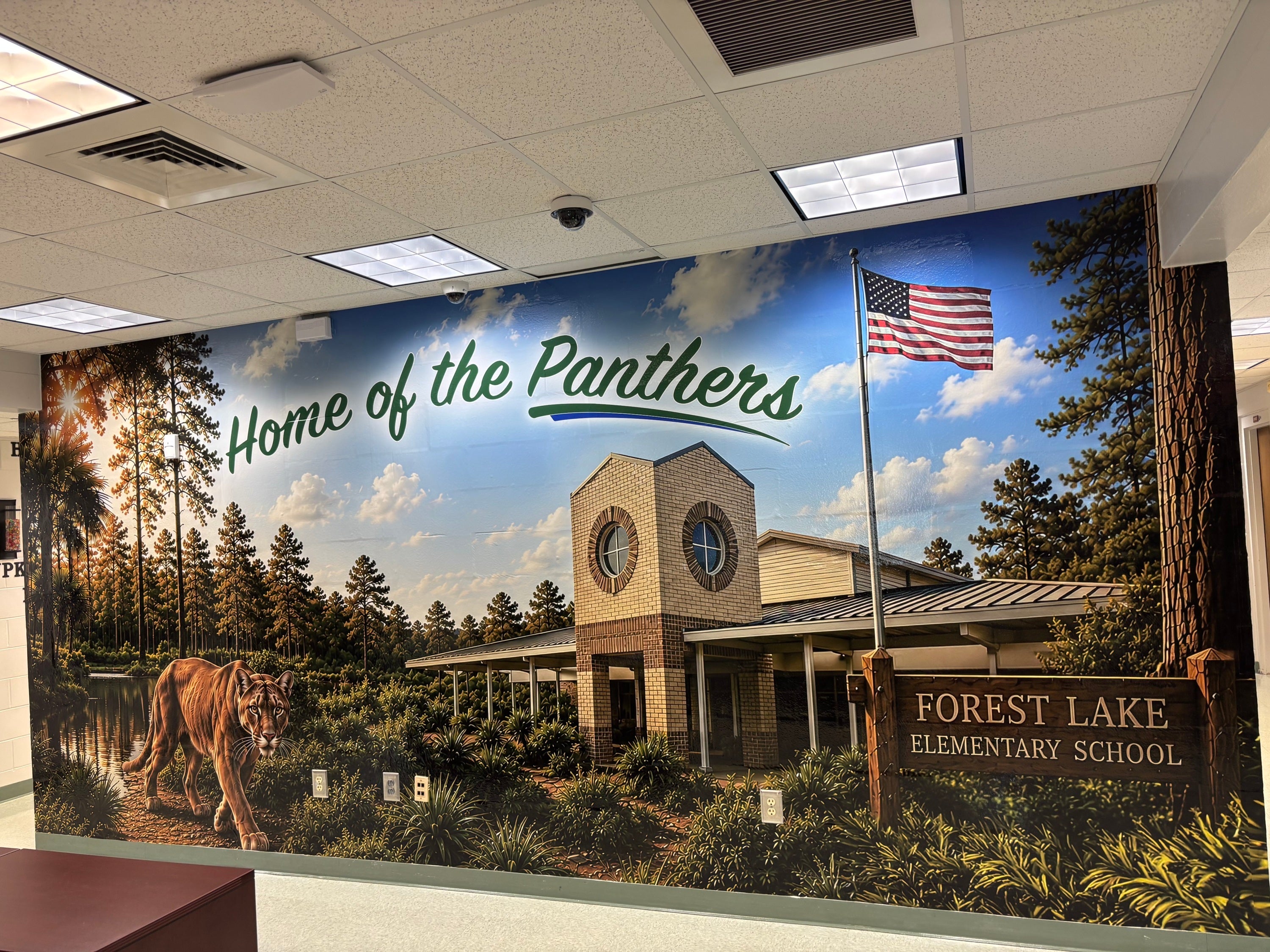 Forest Lake Elementary School Transforms Hallways with Custom Wall Murals