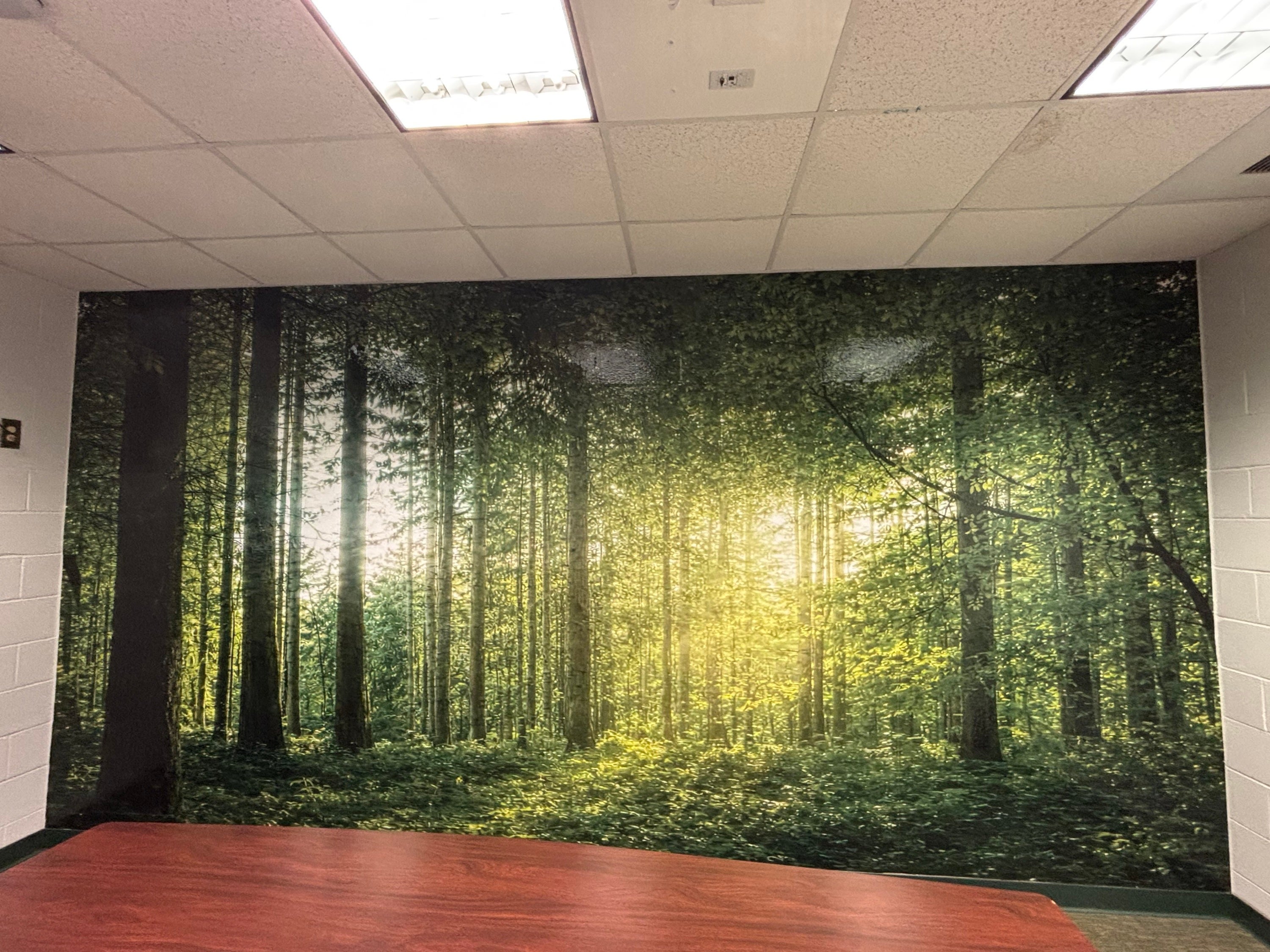 Forest Lake Elementary School Transforms Hallways with Custom Wall Murals