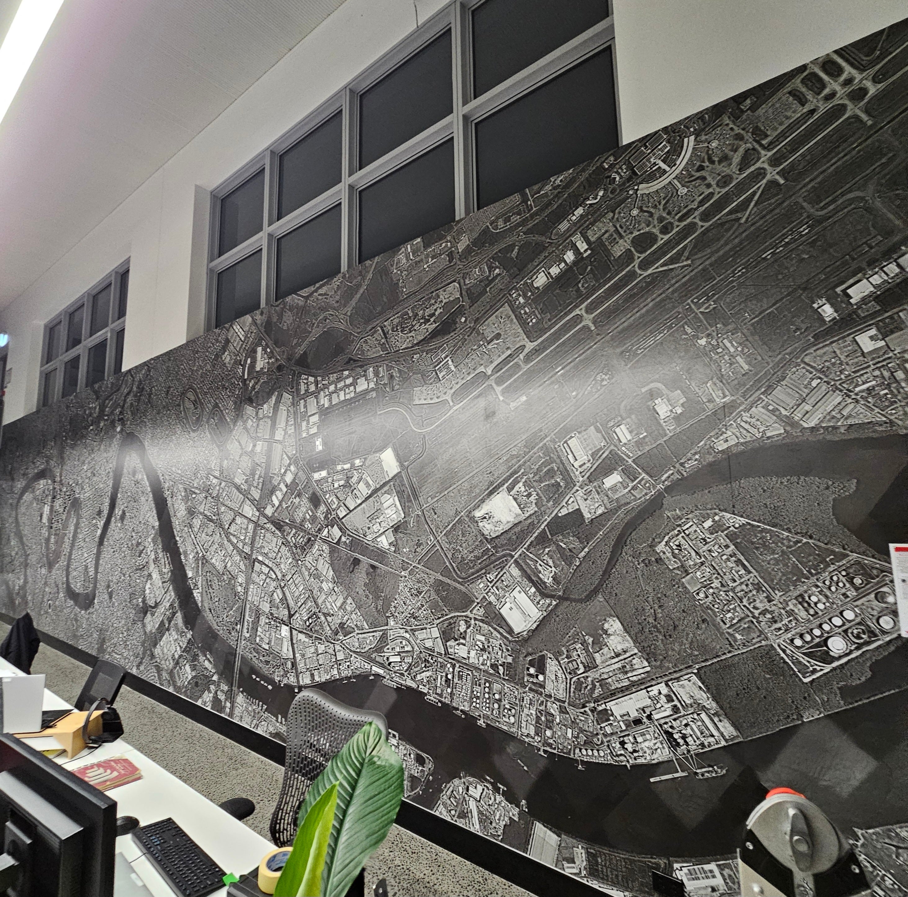 Wall Graphics and Window Frosting