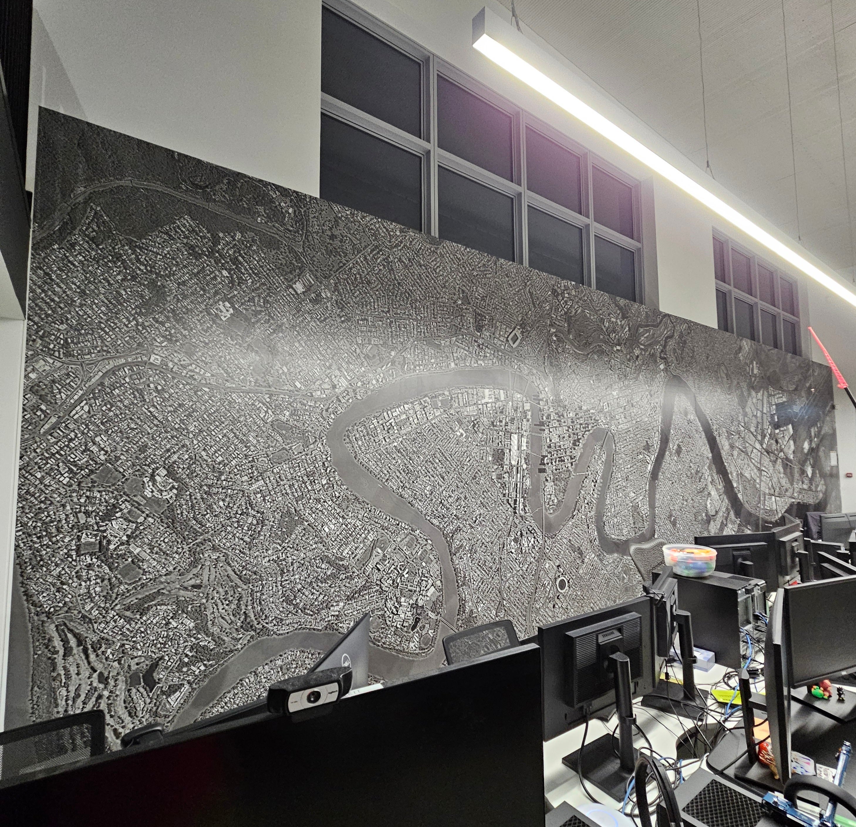 Wall Graphics and Window Frosting