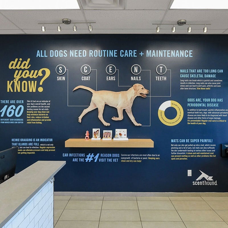 Scenthound's Canine Coup: New C-Suite Trio Leads the Pack