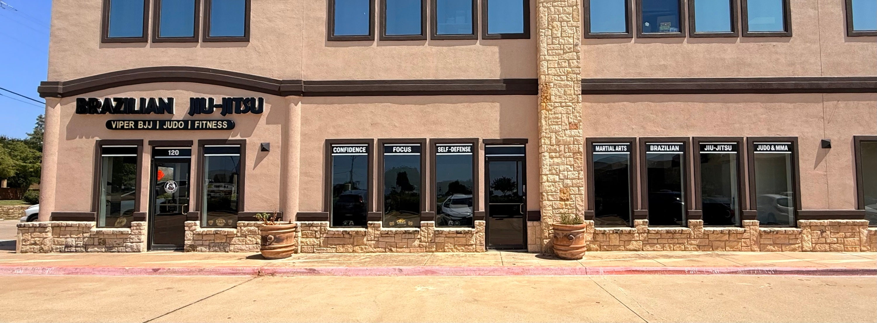 Viper Brazilian Jiu-Jitsu custom window decals by Signarama North Fort Worth/Keller