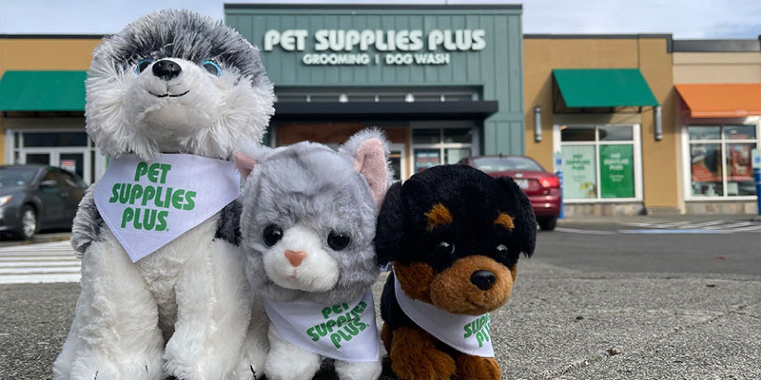 Pet Supplies Plus Turned a Pet Food Birthday Into a $1 Million Prize Frenzy