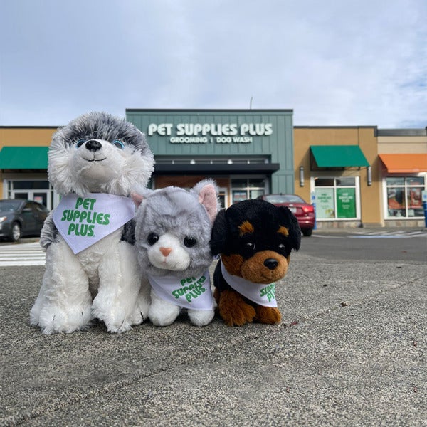 Pet Supplies Plus Turned a Pet Food Birthday Into a $1 Million Prize Frenzy Pet Supplies Plus Turned a Pet Food Birthday Into a $1 Million Prize Frenzy