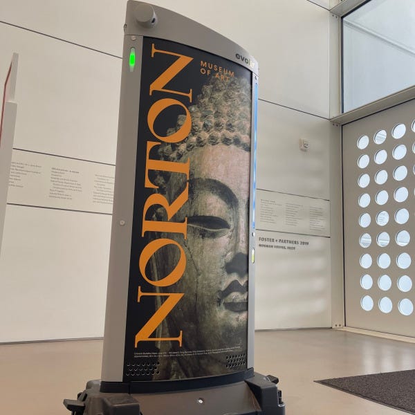 norton metal detector 1