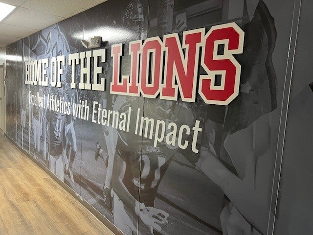 Custom Wall Vinyl in West Palm Beach, FL