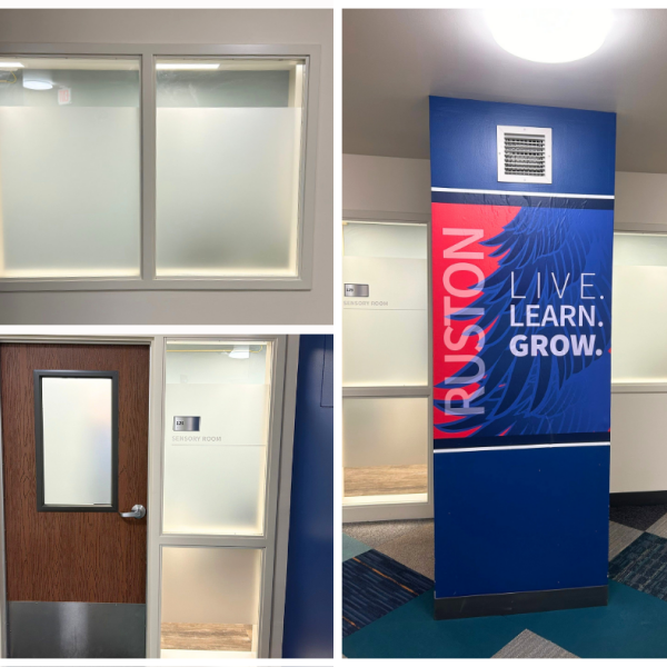 USI - Window Graphics