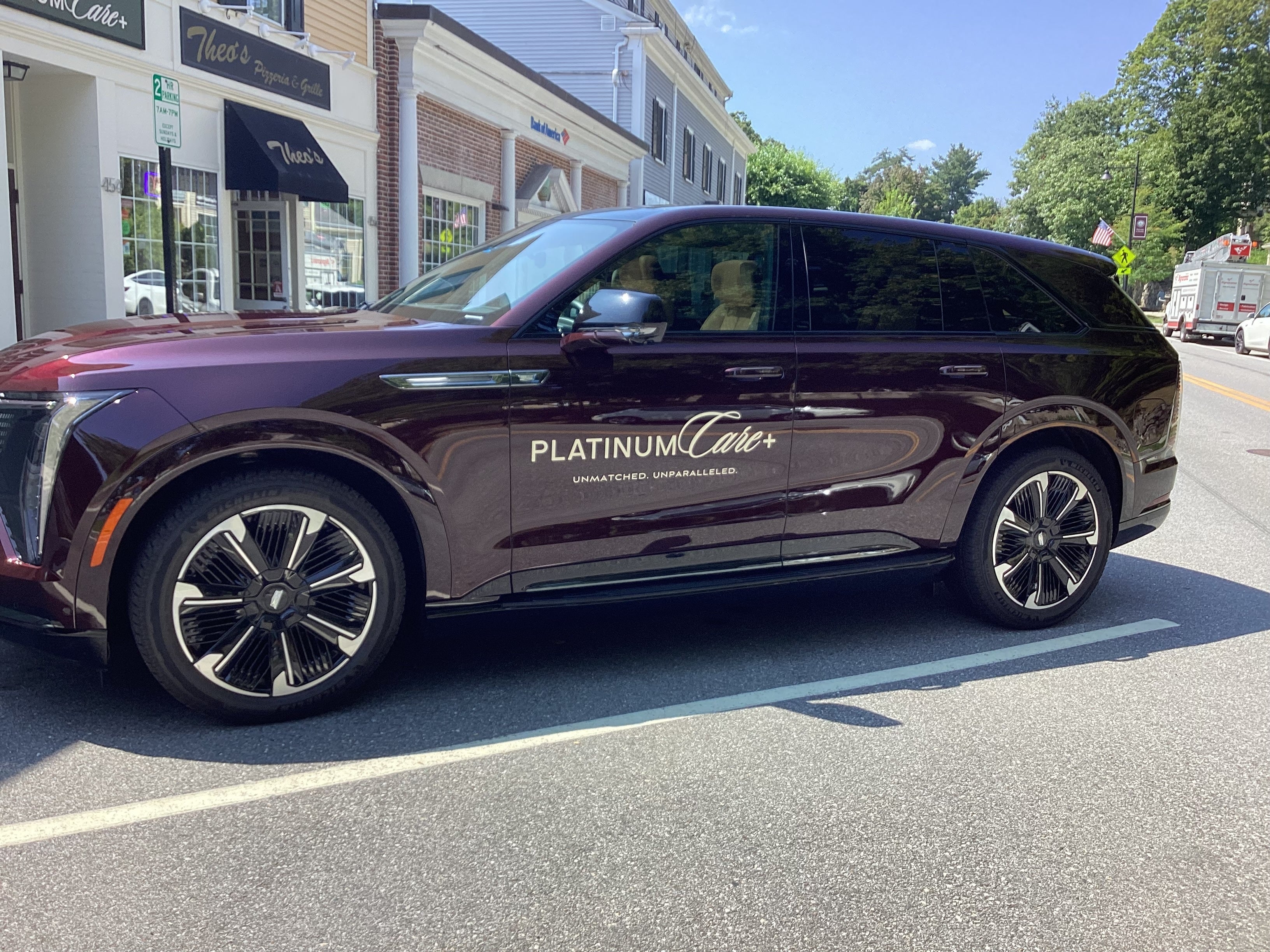 Dimensional Logo and Window Graphics - Platinum Care Plus (Weston, MA)