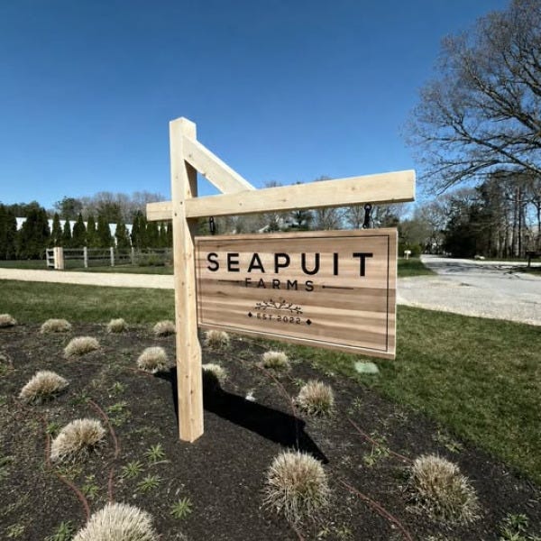 Seapuit