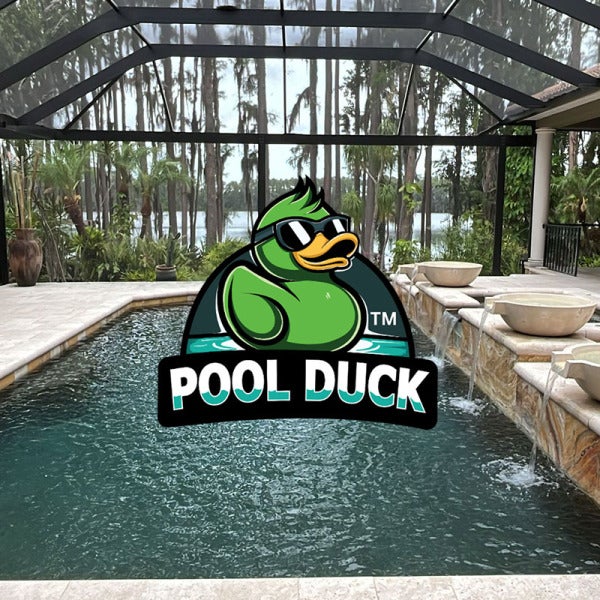 Pool Duck Keeps Growing in Its Own Backyard: Tampa Bay Pool Duck Keeps Growing in Its Own Backyard: Tampa Bay