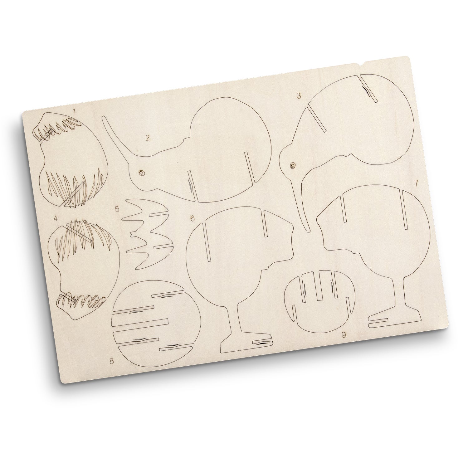 BRANDCRAFT Kiwi Wooden Model