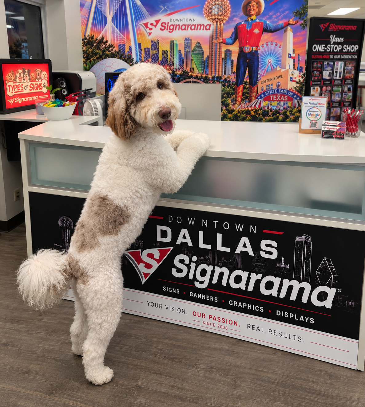 Shop Dog