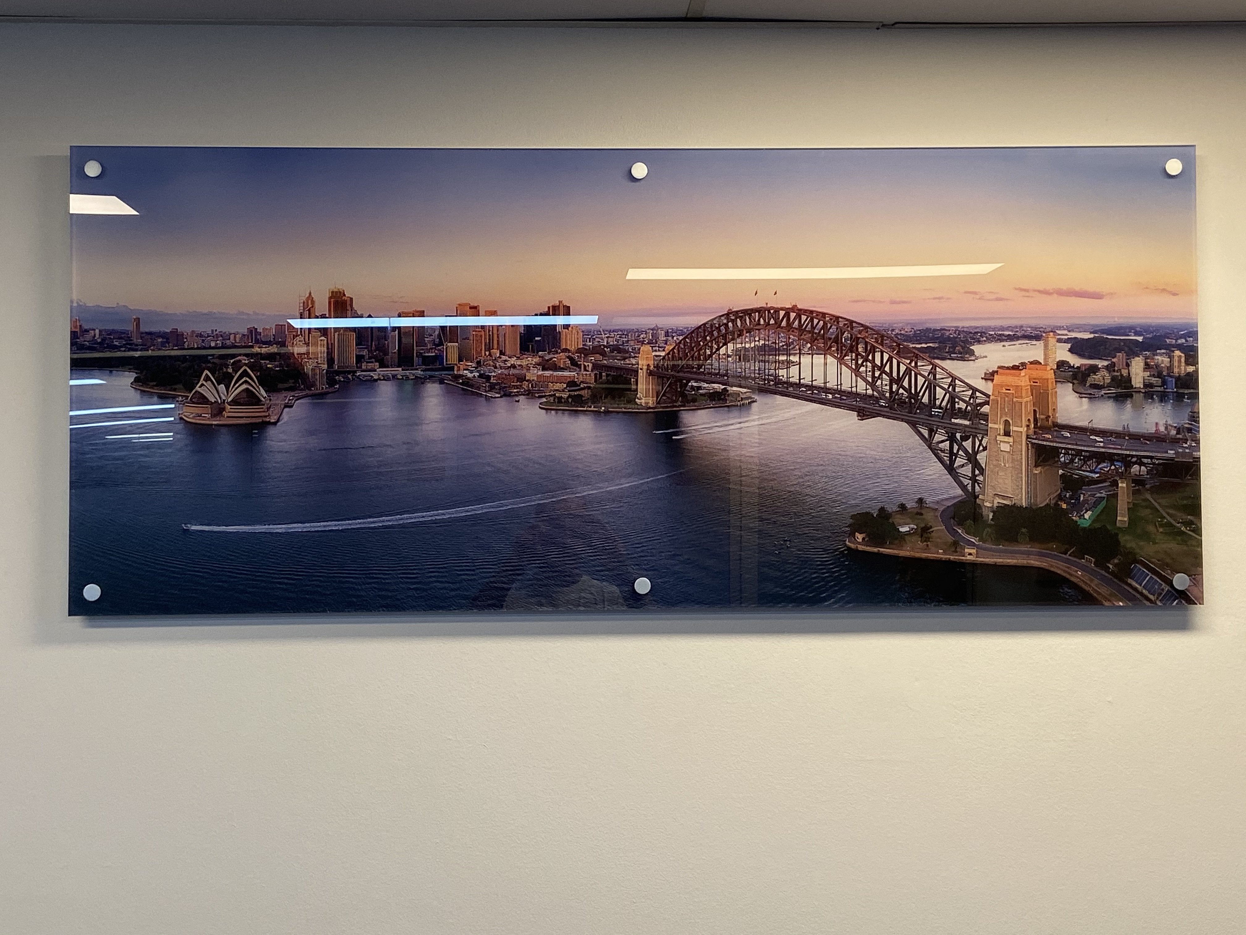 Digital Print Frosting and Wall Graphics