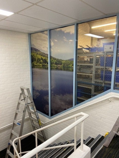 Digital Print Frosting and Wall Graphics