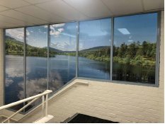 Digital Print Frosting and Wall Graphics