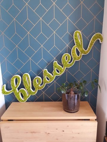 LOGO VEGETAL STABILISE - DECORATION VEGETALE SANS ENTRETIEN