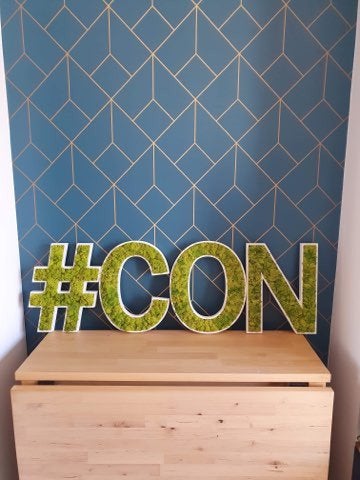 LOGO VEGETAL STABILISE - DECORATION VEGETALE SANS ENTRETIEN