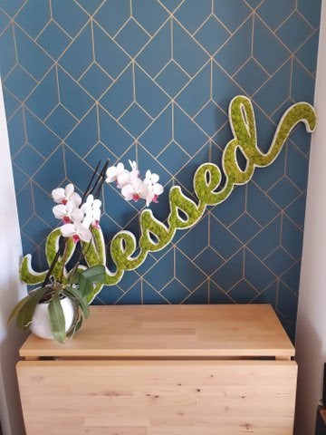 LOGO VEGETAL STABILISE - DECORATION VEGETALE SANS ENTRETIEN