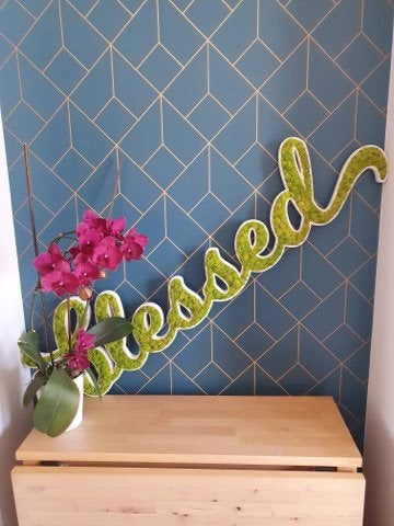 LOGO VEGETAL STABILISE - DECORATION VEGETALE SANS ENTRETIEN
