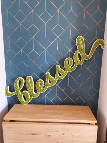 LOGO VEGETAL STABILISE - DECORATION VEGETALE SANS ENTRETIEN
