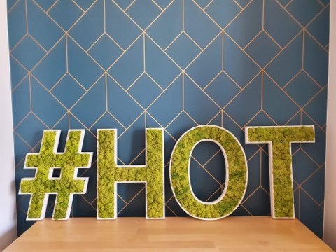 LOGO VEGETAL STABILISE - DECORATION VEGETALE SANS ENTRETIEN